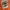 Aeropostale,Orange,2010s,Y2k…👀 photo 3