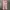 H&M Chino Pinky Pants Sz 36 photo 3