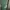 Japanese brand Streetwear Casual Sweater Pria green photo 4