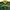 Kappa Vintage Sportswear Track jacket Pria green yellow photo 4