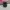 Nike Air Max Tn Plus Triple Black photo 5