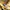 Avirex Vintage Y2K Hoody Pria yellow photo 3