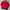 Tracktop Adidas 3stripes Red White Colorway photo 4