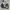 twotone windbreaker White grey windrunner naiki jacket  photo 3