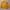 Yellow nike fashion big logo windbreaker jacket ( No tag ) photo 4