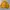 Yellow nike fashion big logo windbreaker jacket ( No tag ) photo 7