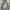 Gramicci Pants Gorpcore L