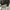 Converse CT AS Dark Matter BNIB 100% photo 10