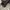 Converse CT AS Dark Matter BNIB 100% photo 7