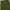 Vans Olive Green Pleated Pants photo 6
