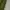 Vans Olive Green Pleated Pants photo 7