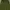 Vans Olive Green Pleated Pants photo 3
