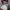 Ben Davis Streetwear Fleece Pria white photo 3