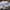Ben Davis Streetwear Fleece Pria white photo 2