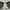Rayban Club Master photo 7