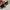 Rayban Club Master photo 6