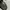 Rayban Club Master photo 8