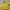 LOVE MORNING small yellow floral bag photo 2
