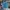 MLB Streetwear Sportswear Hoody Pria Blue
