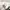 ABERCROMBIE & FITCH Crop Hoodie | White photo 3