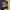 American Vintage 79 Graphic Fitted Tee Black photo 3