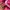 y2k PINK Hotpans by Victoria Secret  photo 5