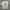 Leute Past Present Future Graphic Tee