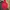 TNF Flight Series Softshell Stretch Original photo 9
