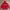 MLB Streetwear Hoody Pria Red