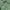 M🅾️ntbell Outdoor Jacket Green Hooded Full Zipper photo 10