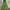 M🅾️ntbell Outdoor Jacket Green Hooded Full Zipper photo 9