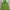 M🅾️ntbell Outdoor Jacket Green Hooded Full Zipper photo 8