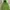 M🅾️ntbell Outdoor Jacket Green Hooded Full Zipper