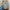 YOUNGMEN Japan Viscose Open Collar Pattern Summer Shirt photo 2