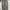 Japanese brand Vintage Y2K Jeans Pria white gray photo 2