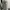 Japanese brand Vintage Y2K Jeans Pria white gray photo 7