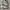 Nike Initiator ‘Metalic Silver’ photo 4
