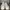 Zegna Luxury Casual Casual shoe Pria burgundy white photo 3