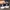 Convese Jack Purcle Leather 