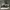 Convese jack purcle leather  photo 4