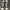 Convese Jack Purcle Leather 