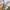 Nike Big Swossh Woven Grey photo 7