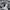 Nike Script Grey Zip Hoodie photo 4