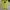 Oakley Uneven puffer 2.0 jacket  photo 2