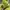 Oakley Uneven puffer 2.0 jacket  photo 9