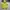 Oakley Uneven puffer 2.0 jacket  photo 4