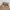 Nike Swoosh Crop Oversize Hoodie photo 2