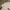 Kaos AEROPOSTALE Branded White Tee TShirt photo 7