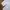 3D EMBLEM HARLEY DAVIDSON MOTORCYCLE WHITE EMBROIDERED LONG  photo 5