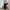 Ripndip Streetwear Casual Sweatpants & Joggers Pria black photo 7